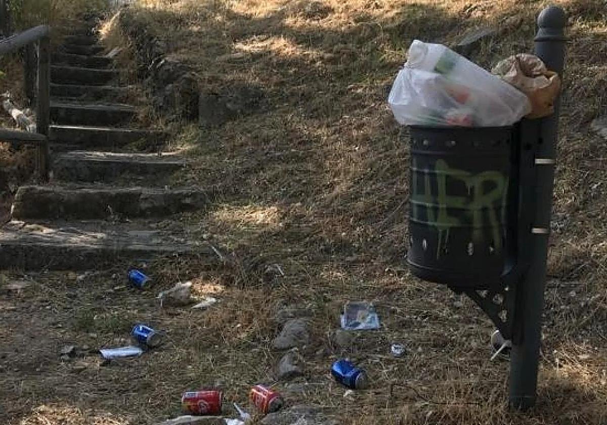 También se recogieron latas de aluminio, que en su mayoría eran envases de bebidas isotónicas