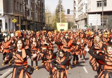 Estos son los cortes de tráfico en Vitoria por el Carnaval