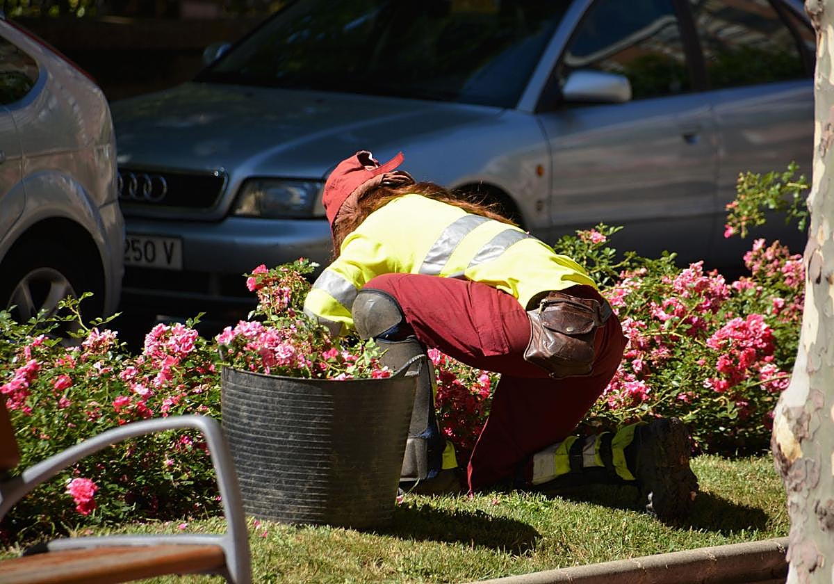La nueva cuantía del salario o la pensión que es intocable ante un embargo por deudas en 2025