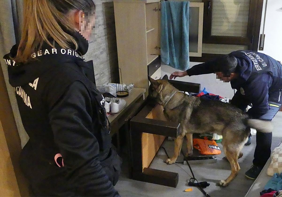 Cuatro detenidos por robar en «varias decenas de viviendas» de Álava y otros puntos del norte de España