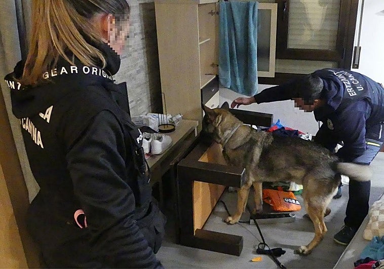 Operación 'Jauzilari': detenidas 4 personas en Bilbao y Bermeo por robar en decenas de viviendas del norte de España