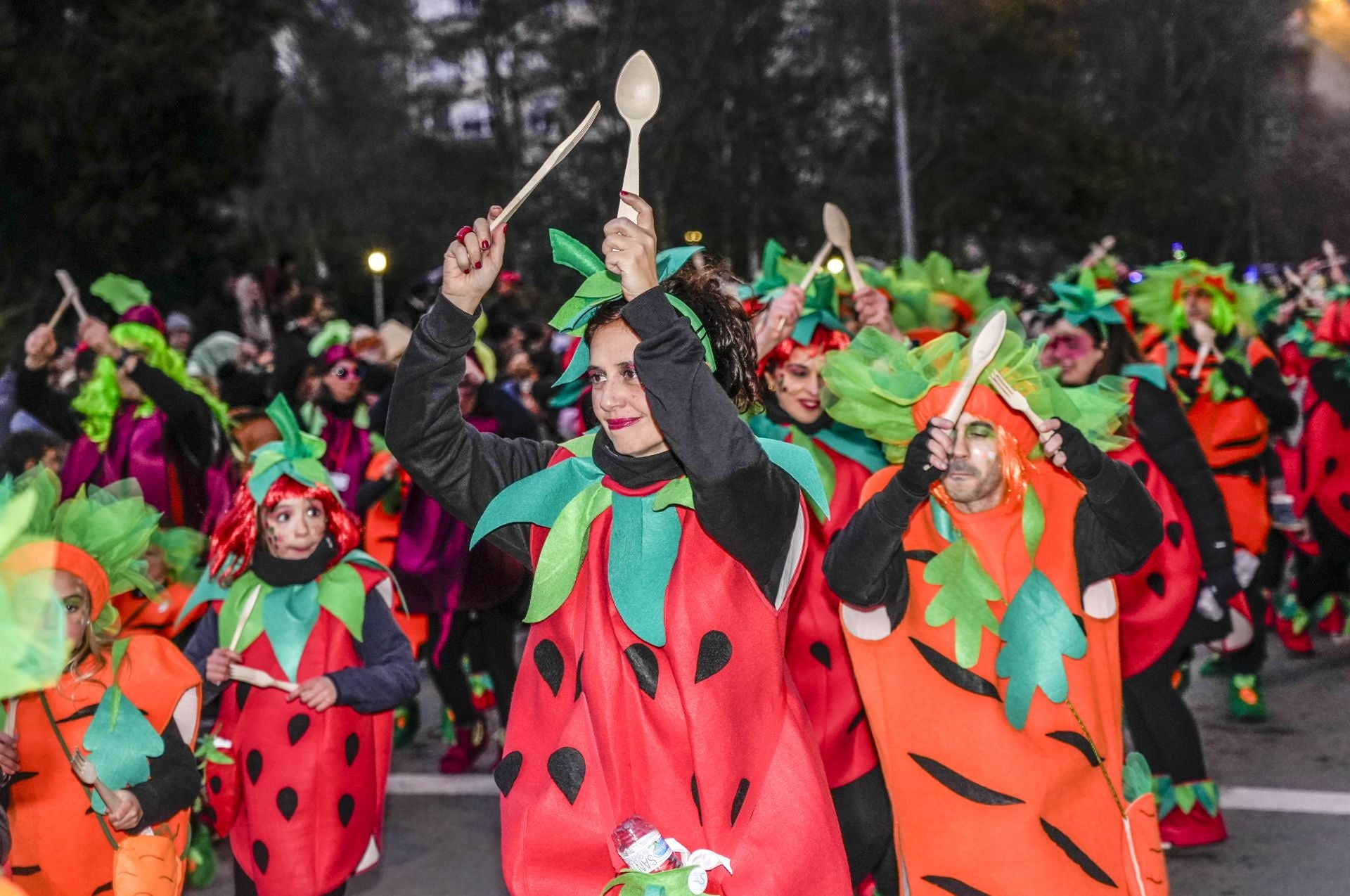 Las imágenes del desfile del Carnaval de Vitoria
