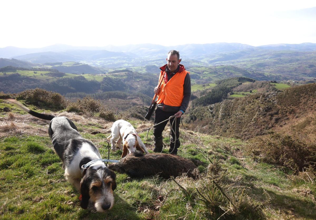 Uno de los jabalíes cazados enuna de las últimas batidas de la temporada en Bizkaia.