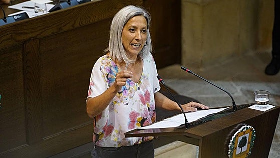 Podemos desvela hoy si salva la reforma fiscal de PNV y PSE