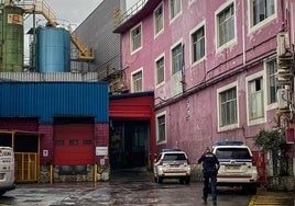 Imagen de la empresa Betsaide en Elorrio.