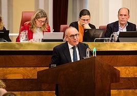 El diputado general de Álava pide reabrir una negociación fiscal «sin vetos» tras la «decepción» con Podemos