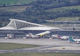 Llega al aeropuerto de Loiu una menor secuestrada por su madre hace doce años en Cantabria