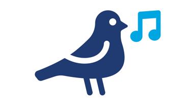 Pájaros y flores