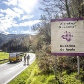 Cartel que anuncia la entrada a la Cuadrilla de Ayala, en la carretera de Artziniega.