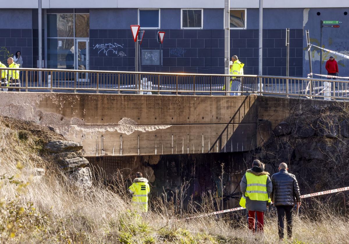 El incendio de Salburua causa «graves» daños en un puente e inutiliza la recogida neumática