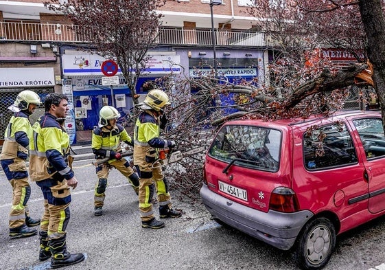Los bomberos retiran una rama caída sobre un coche en la calle Gorbea.