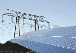 El proyecto pretendía probar el modelo agrovoltaico, pero los promotores desistieron de él
