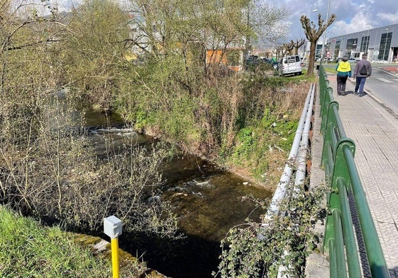 Imagen de río a su paso por Zubibitarte en Traña-Matiena.