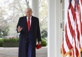 El orden en el desorden