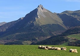 El regreso a la Euskadi 'vaciada'