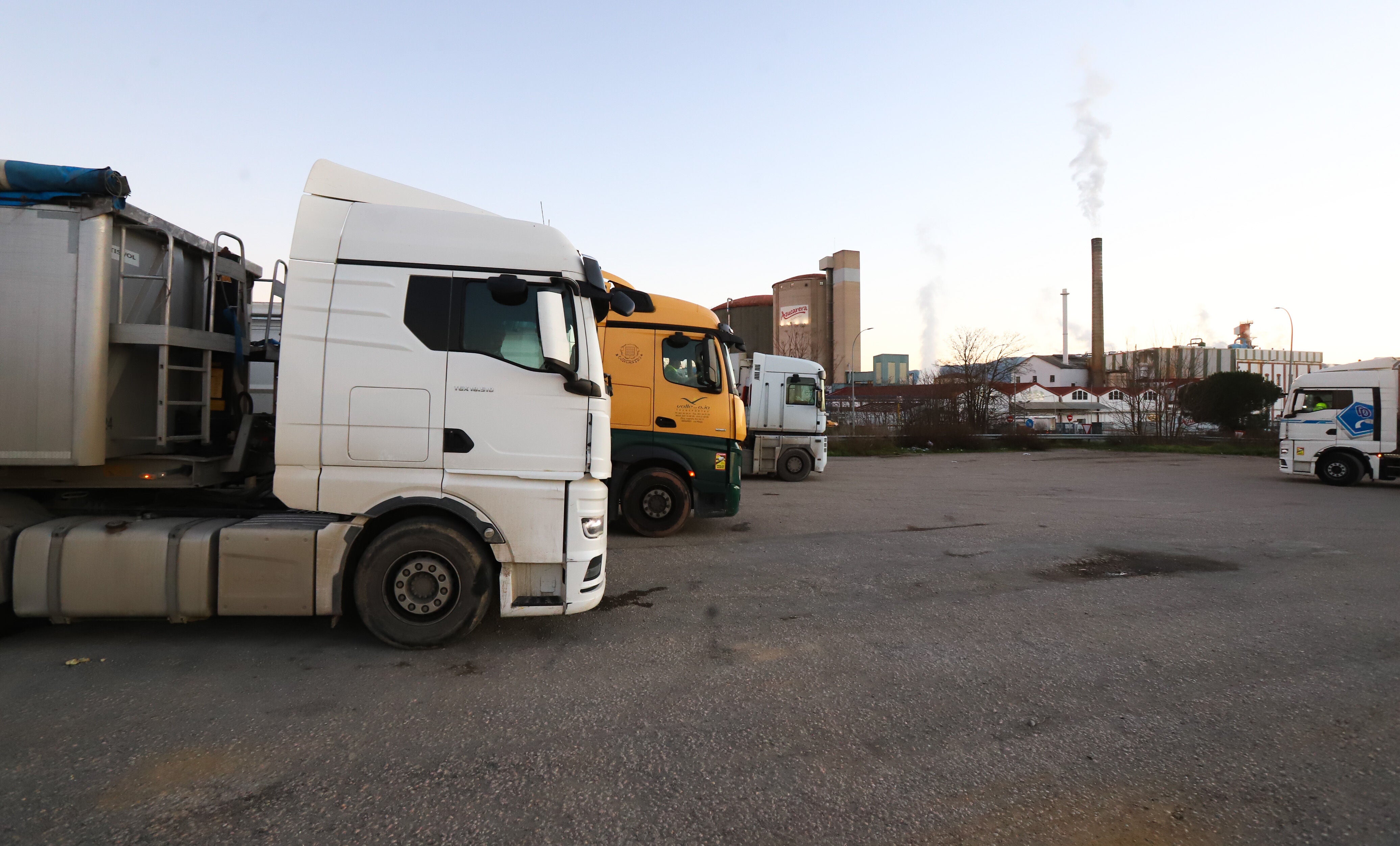 El último periodo de molturación finalizó con cerca de 400.000 toneladas de raíz procesadas.