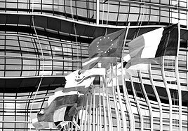 ¿Campeones nacionales?