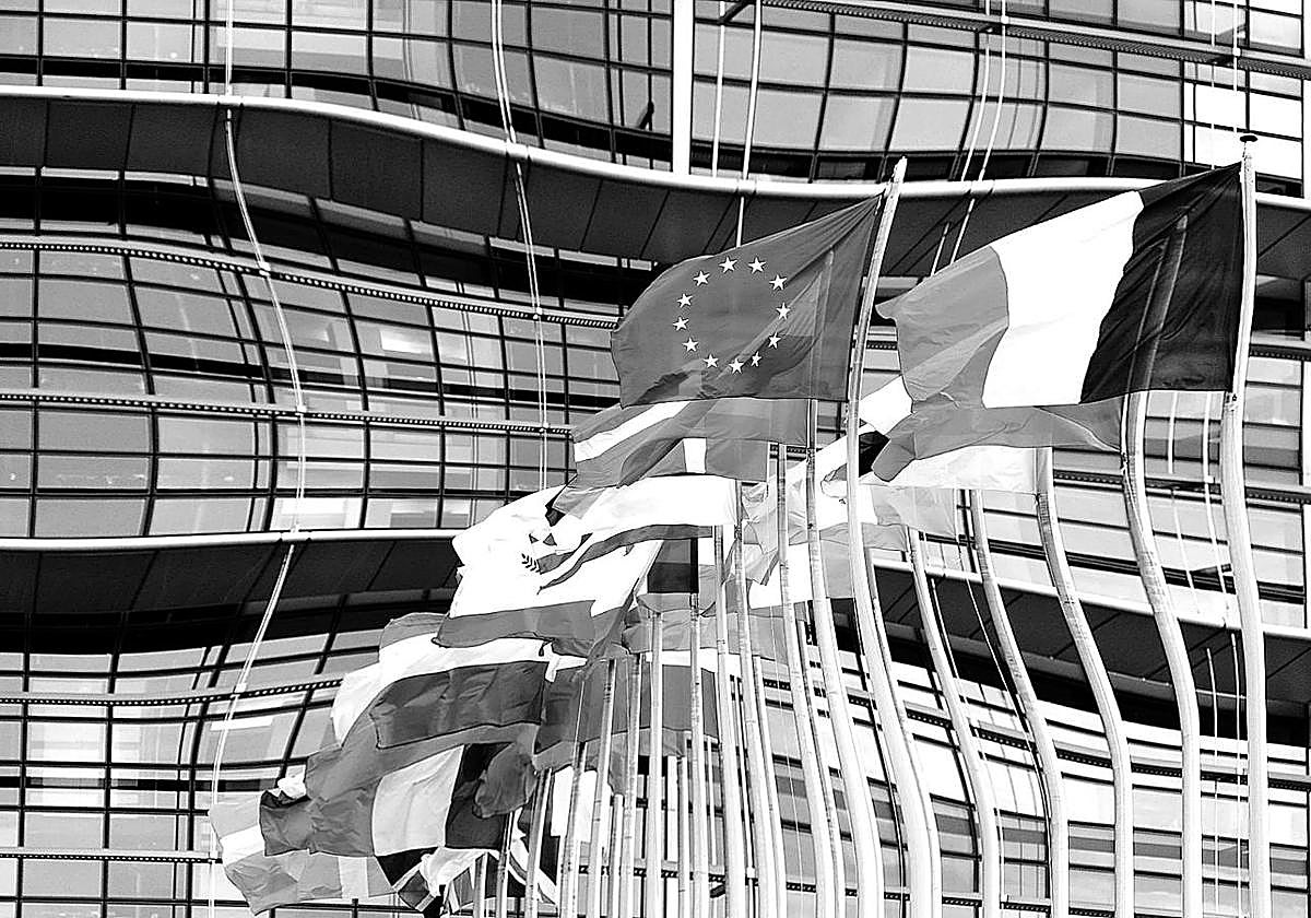 ¿Campeones nacionales?