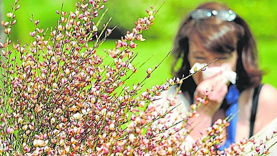 La polinización amenaza al 30% de alaveses con alergias respiratorias