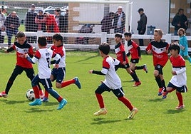 Los partidos no tienen carácter competitivo.