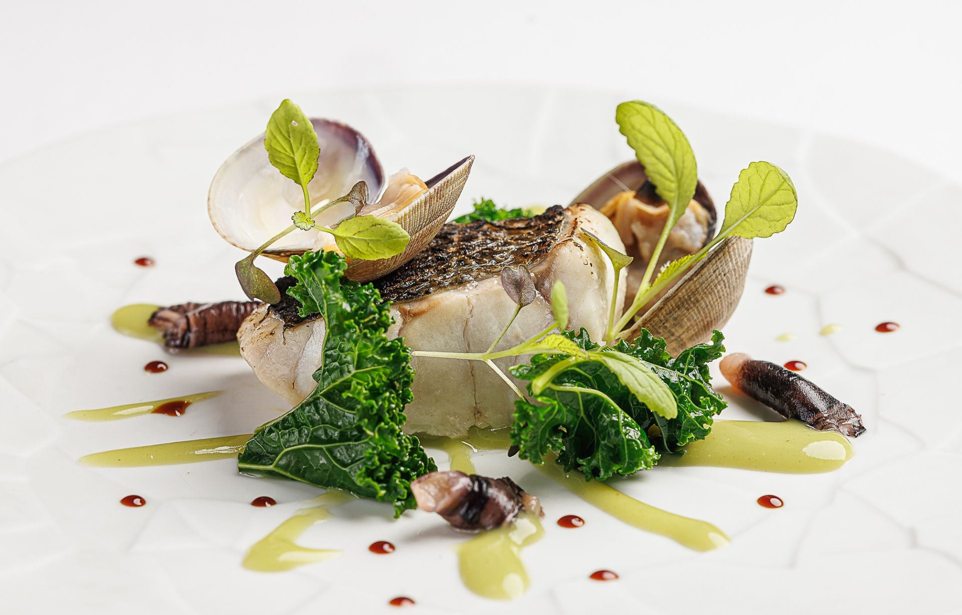 Pescado del día algas y moluscos.