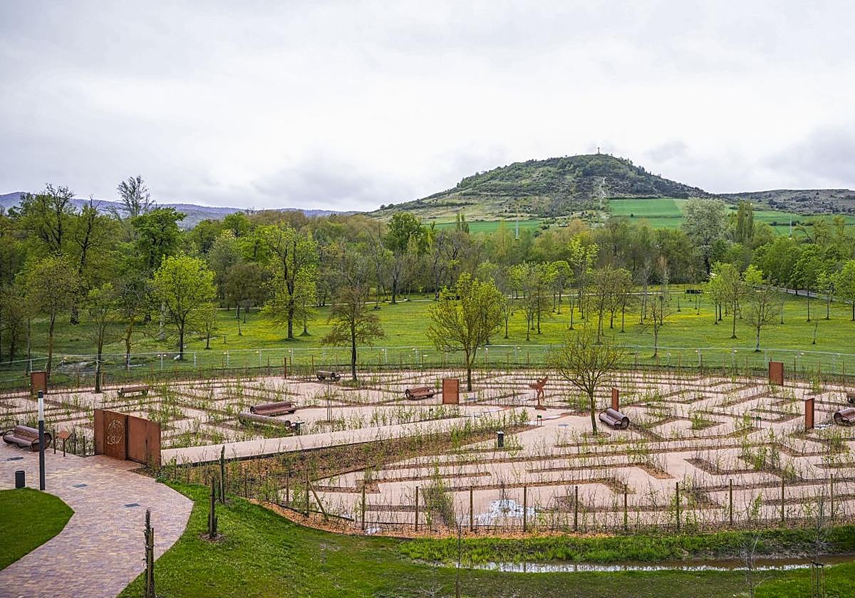 Actual estado del futuro laberinto vegetal de Olárizu.