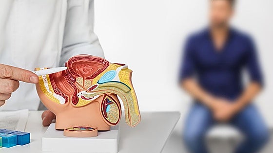 CIC BioGune revoluciona sus laboratorios para convertirse en líder mundial en el estudio del metabolismo del cáncer