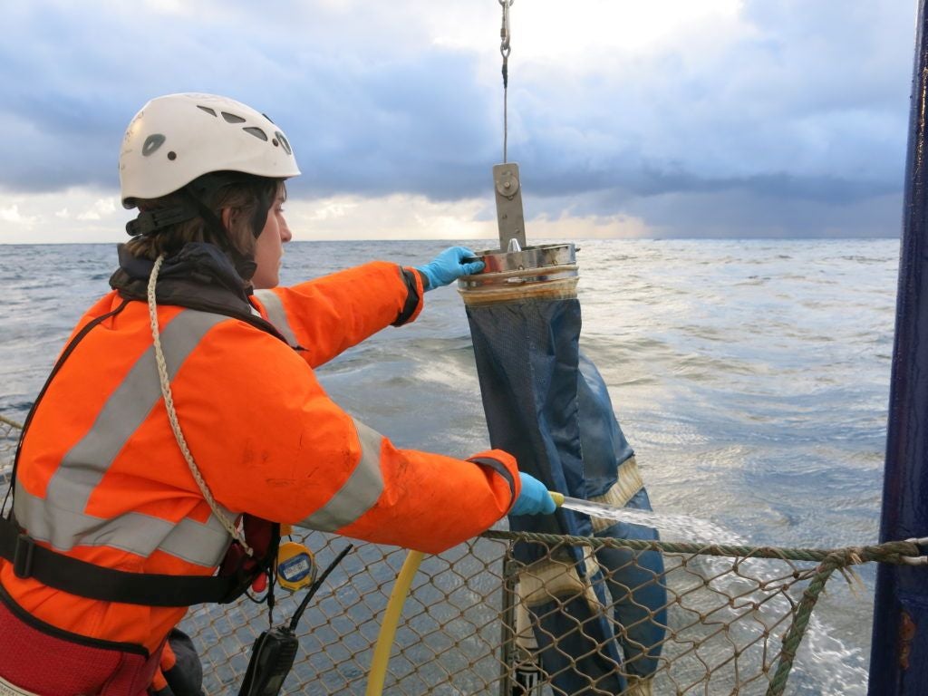El Ministerio de Pesca y Azti estudian los fondos marinos del Golfo de Bizkaia
