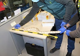 Serpiente requisada en Foronda en un operativo de 2023.