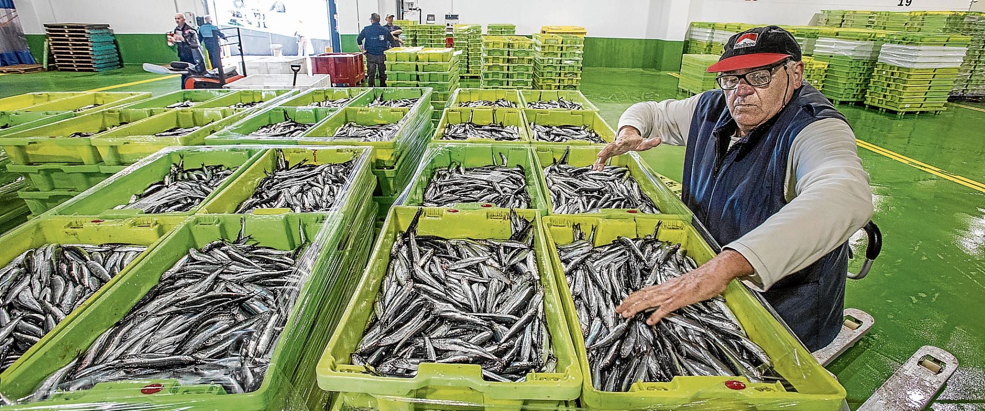 Los arrantzales podrán controlar por fin cuándo llega la anchoa al mercado
