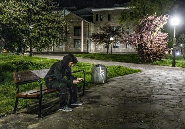 En las zonas de Gazalbide-Txagorritxu son varios los parques en los que se repite esta mala convivencia entre luminarias y vegetación. Destaca, además del Parque del Conservatorio de Música (en la imagen), el de Gazalbide o Los Rosales. Precisamente estos lugares «son muy transitados» porque cuentan con viviendas alrededor.