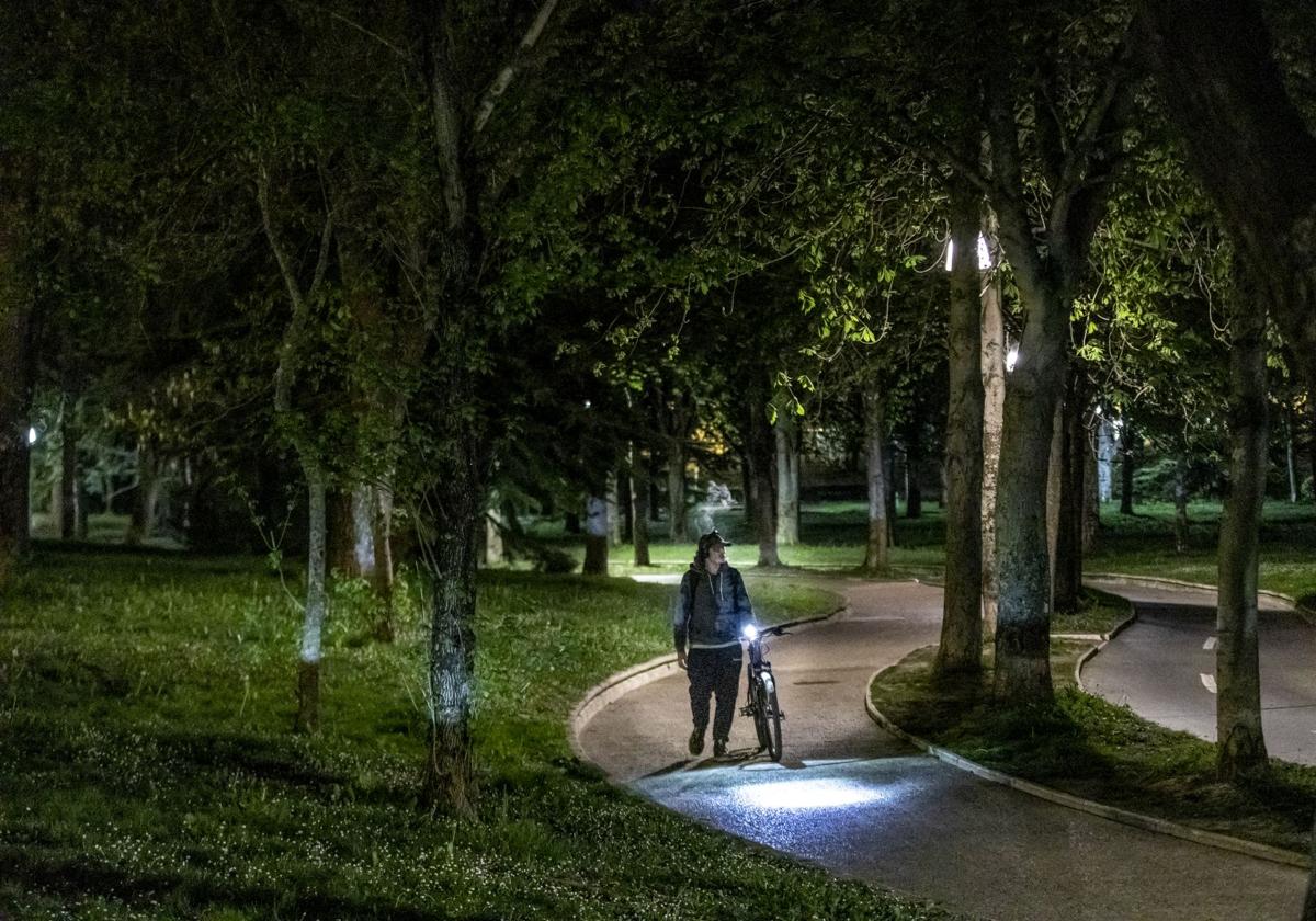 Vitoria podará árboles para ganar luz en siete zonas críticas