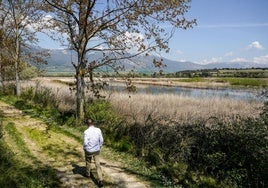 El Prao de la Paúl se ha llenado de agua en los últimos meses