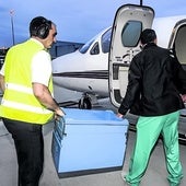 Momento en que entra un órgano en el avión preparado para llevarlo al hospital donde espera el receptor.