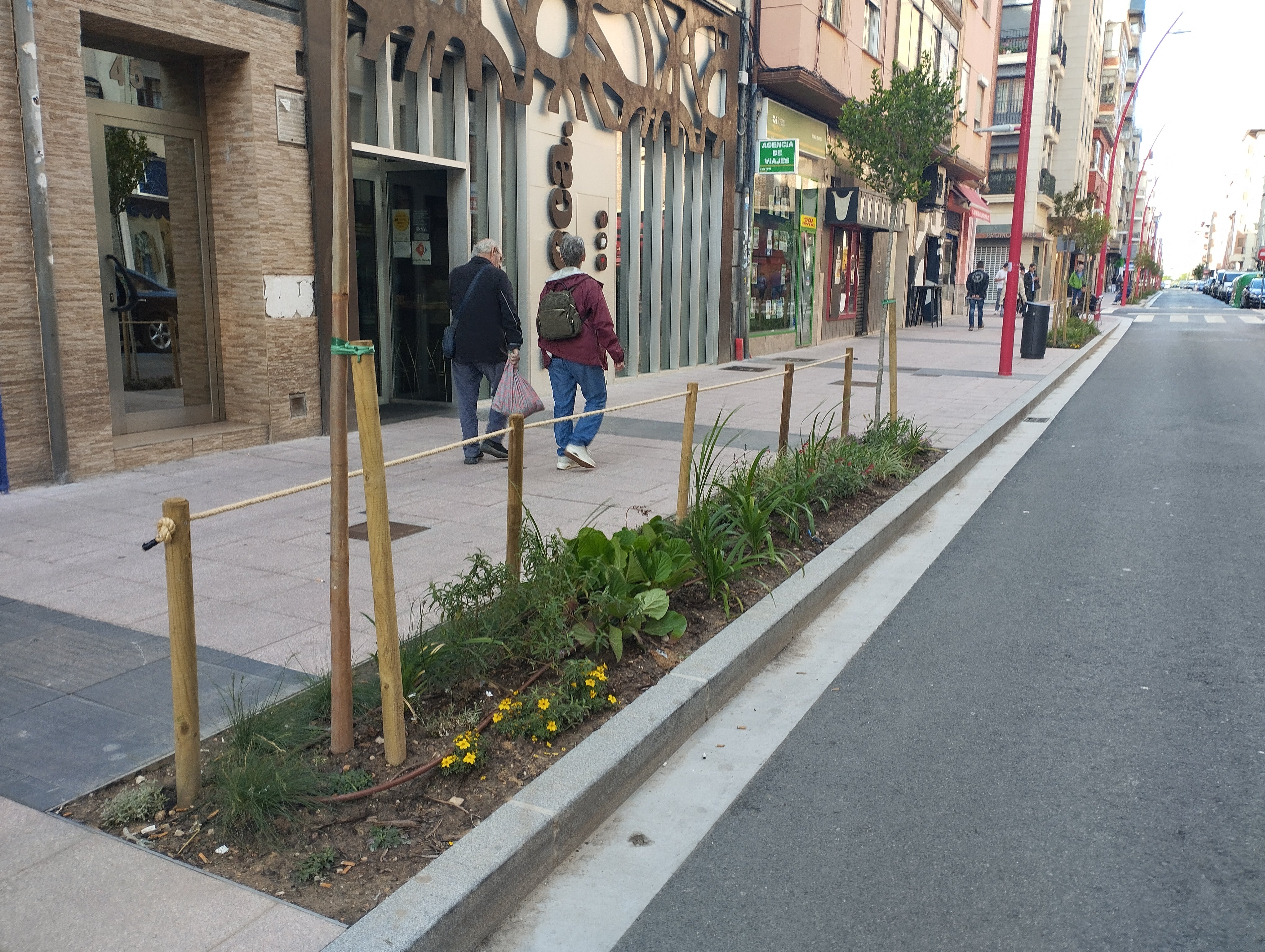 «Por cada árbol que rompan los vándalos en Miranda, volveremos a plantar otro»