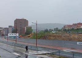 Terrenos de Lutxana donde los ecologistas han detectado depósitos de lindane.