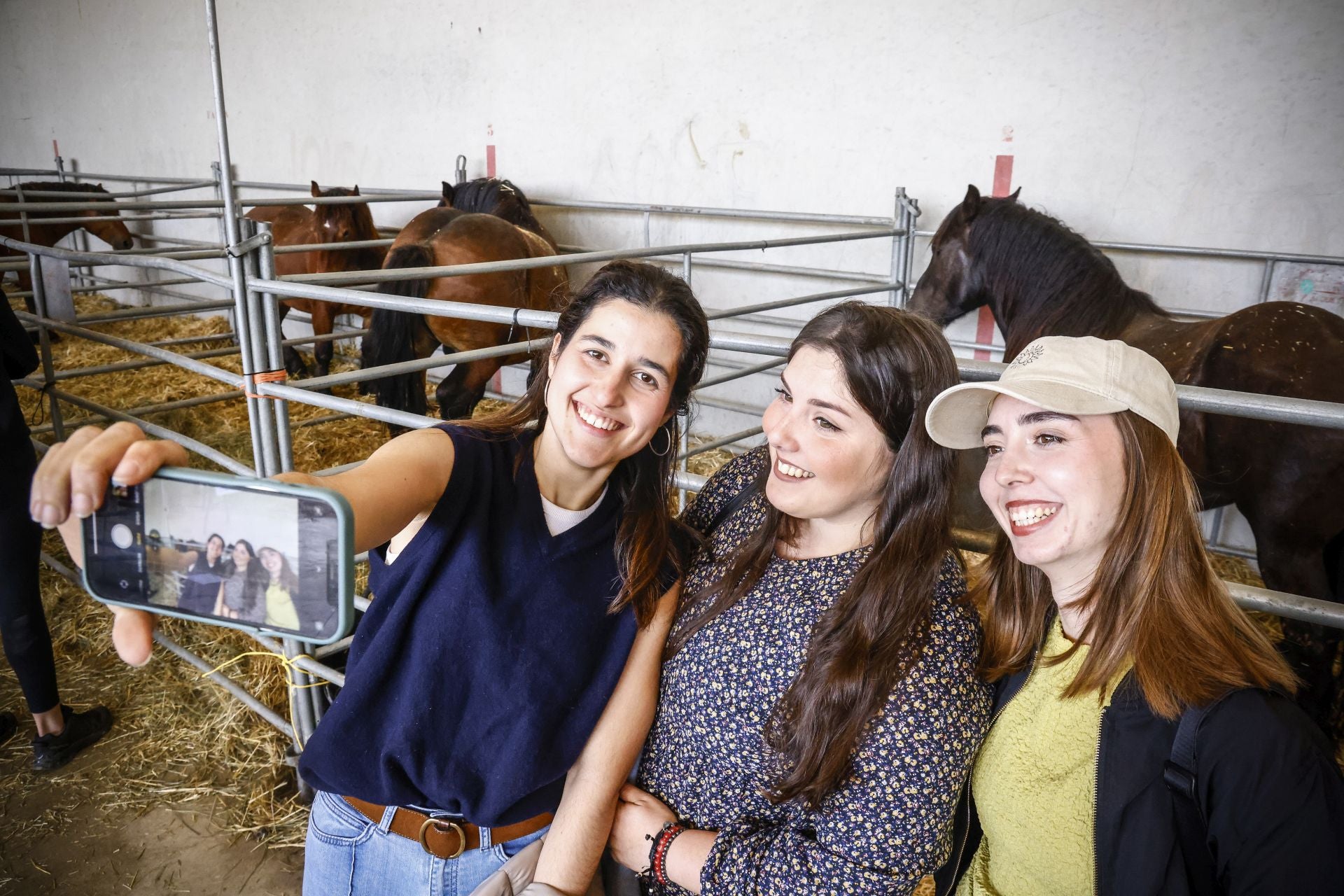 Las imágenes de la subasta de ganado de Arkaute