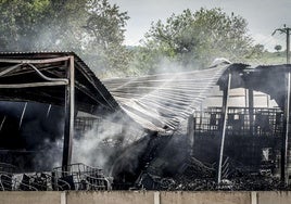 El incendio afectó a la parte trasera de la fábrica.
