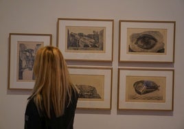 El Bellas Artes presenta 34 obras que se suman a la exposición de Max Ernst