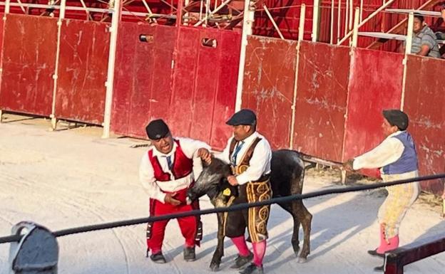 El espectáculo 'Enanos toreros'.