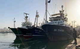 Los pesqueros de Dakartuna está amarrados en Dakar desde hace seis meses.