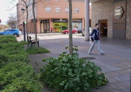'Jumanji'. De jardines a selvas