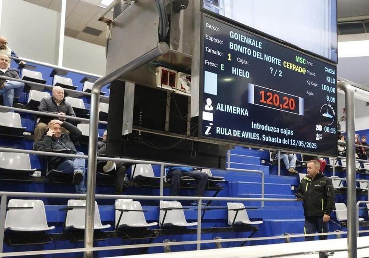 El precio del primer bonito del norte cae a 120,20 euros, el más bajo de los últimos años