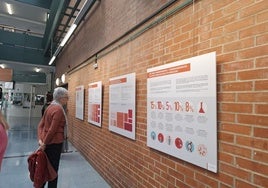 La exposición se ubica en los pasillos del centro cívico Judimendi.