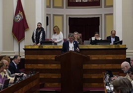 Las Juntas de Álava refrendan pero ven escasa la aportación de 4,8 millones de Lakua para gasto sociosanitario