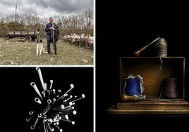 Selección de imágenes ganadoras del certamen FotoArte.