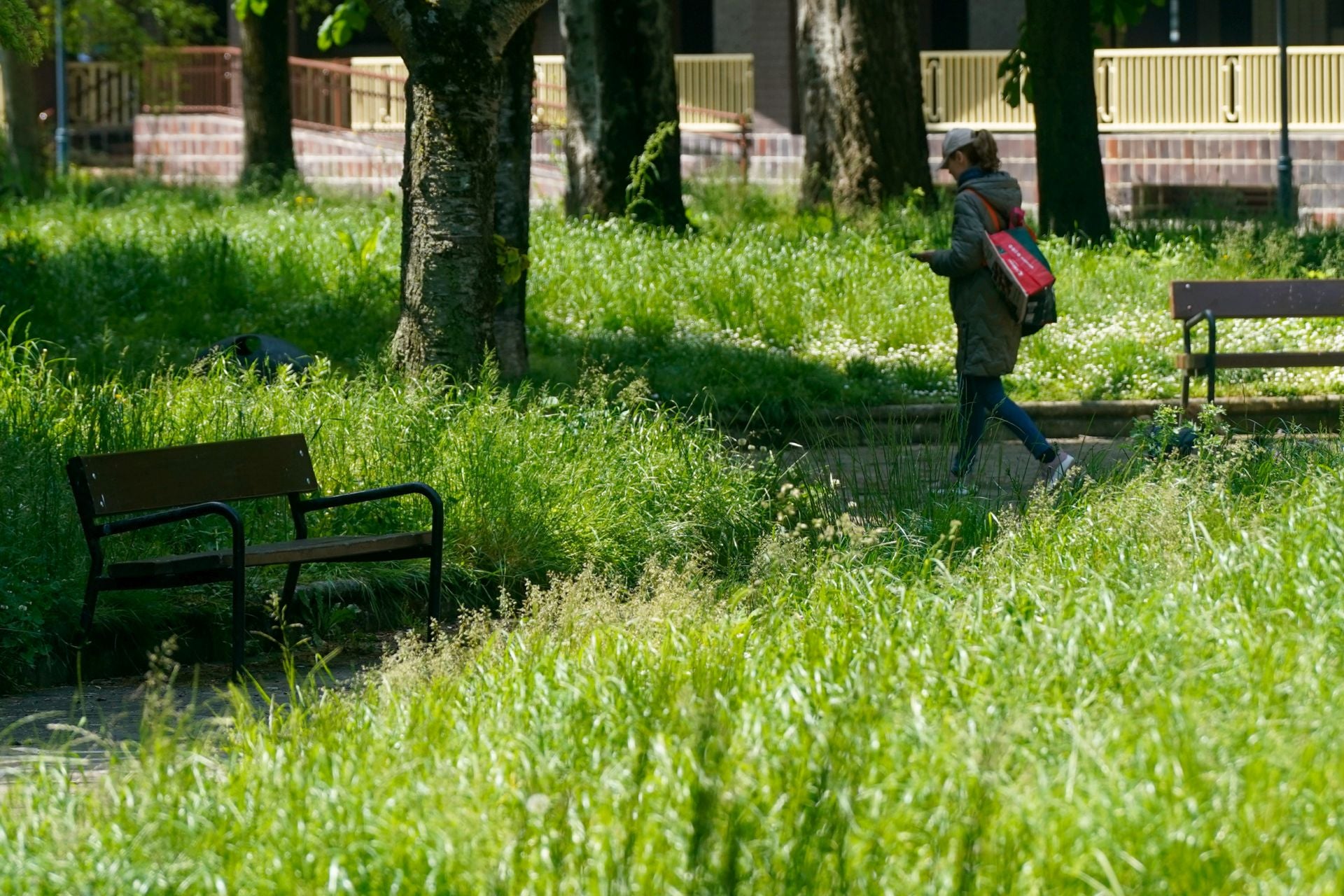 El aspecto asilvestrado de los jardines de Vitoria