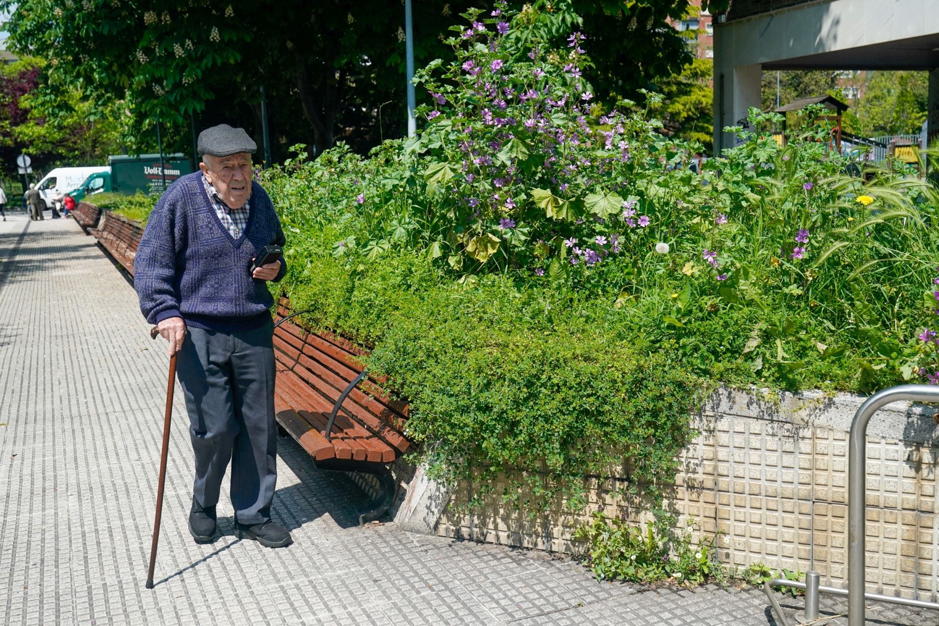 El aspecto asilvestrado de los jardines de Vitoria