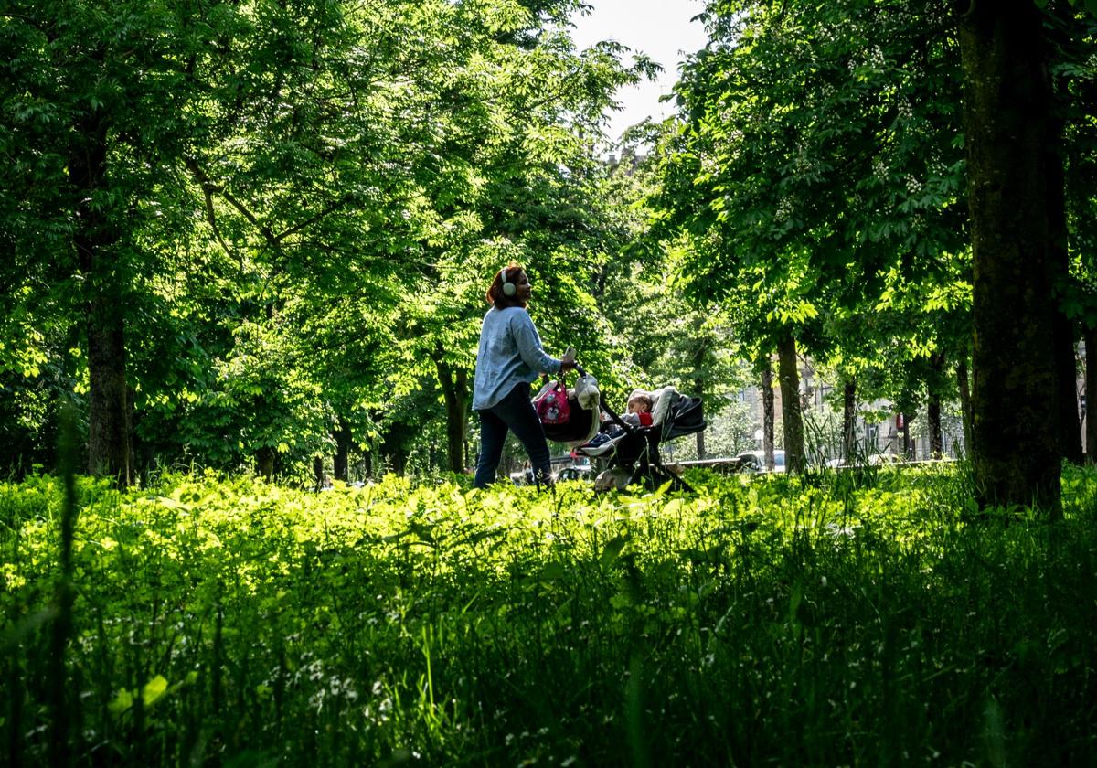 El aspecto asilvestrado de los jardines de Vitoria