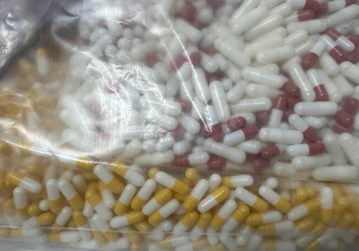 Imagen secundaria 1 - Desmantelada una banda dedicada al tráfico de speed y marihuana en varias provincias, entre ellas Bizkaia